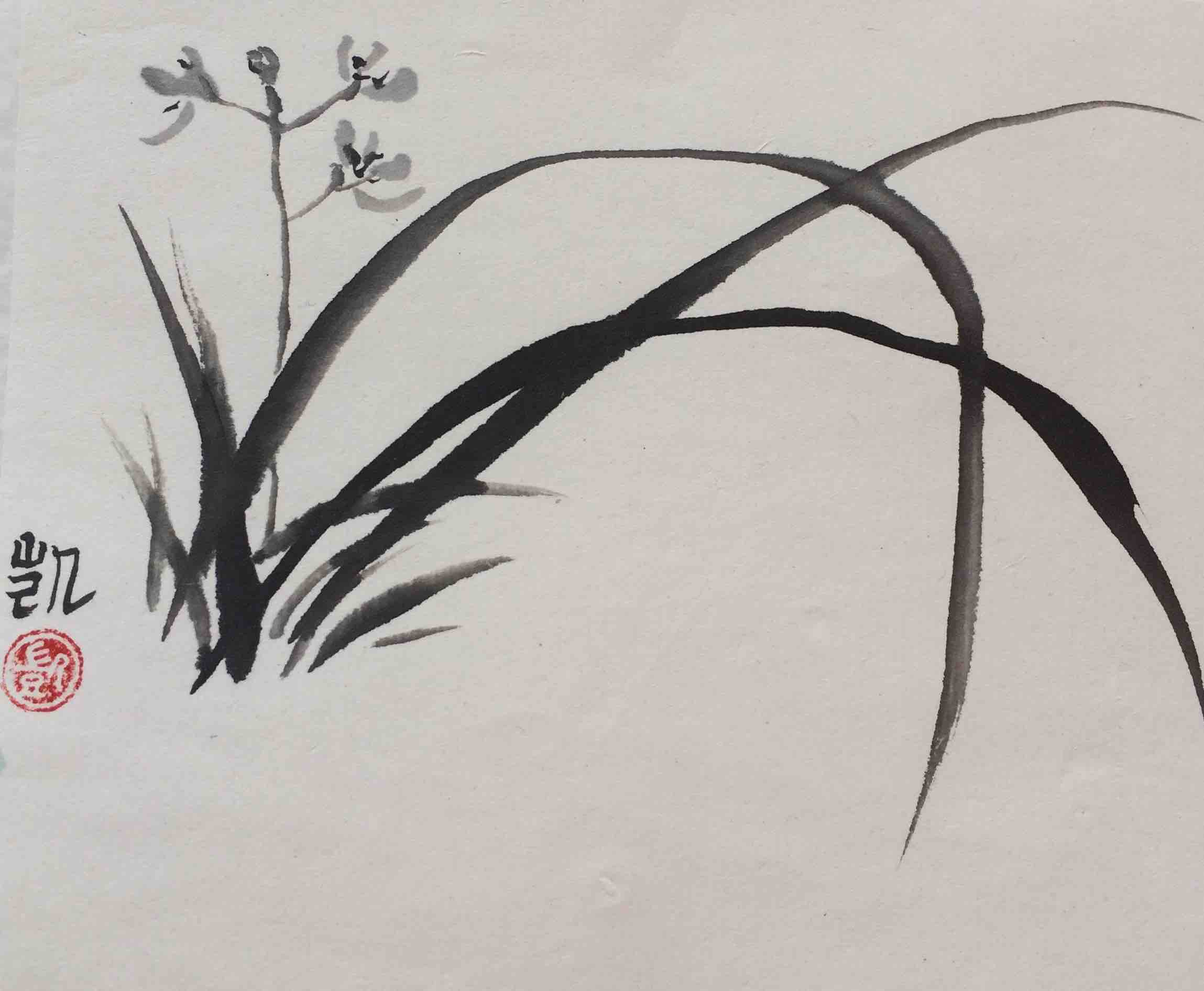 Chinesische Orchideen